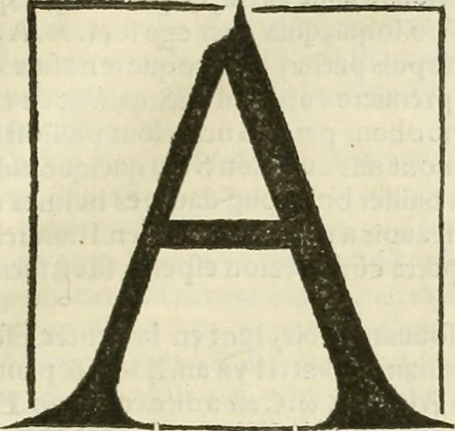 An illustration from Champ fleury : au quel est contenu lart & science de la deue & vraye proportio[n] des lettres attiques, quo[n] dit autreme[n]t lettres antiques, & vulgairement lettres romaines proportionnes selon le corps & visage humain ..., 1529, leaf 80