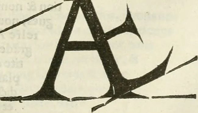 An illustration from Champ fleury : au quel est contenu lart & science de la deue & vraye proportio[n] des lettres attiques, quo[n] dit autreme[n]t lettres antiques, & vulgairement lettres romaines proportionnes selon le corps & visage humain ..., 1529, leaf 82