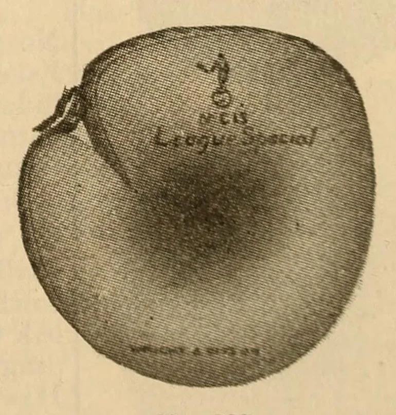 An illustration from Championship records, 1912, leaf 257