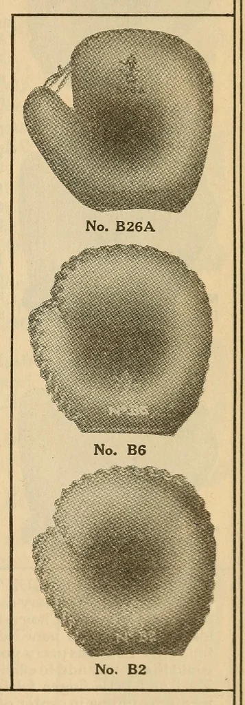 An illustration from Championship records, 1912, leaf 261