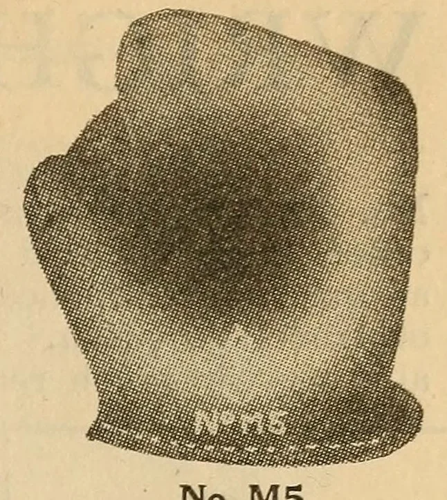 An illustration from Championship records, 1912, leaf 265