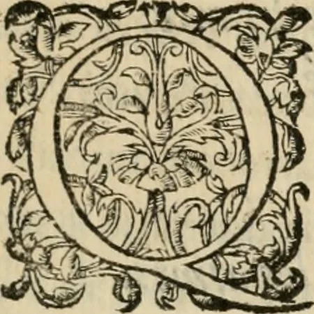 An illustration from Chant d'allegresse : povr l'entree de tres-chrestien, treshavlt, trespvissant, tresexcellent, tresmagnanime, & tresuictorieus prince Charles ix. de ce nom, roi de France, en sa ville de Troïe, 1564, leaf 10