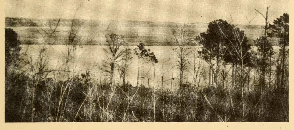 An illustration from Chapters on the ethnology of the Powhatan tribes of Virginia, 1928, leaf 115