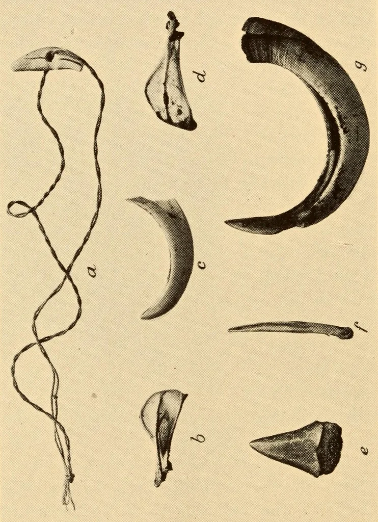 An illustration from Chapters on the ethnology of the Powhatan tribes of Virginia, 1928, leaf 136