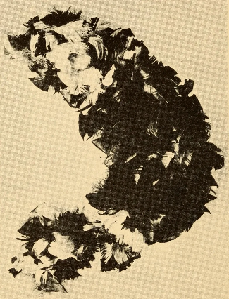 An illustration from Chapters on the ethnology of the Powhatan tribes of Virginia, 1928, leaf 224