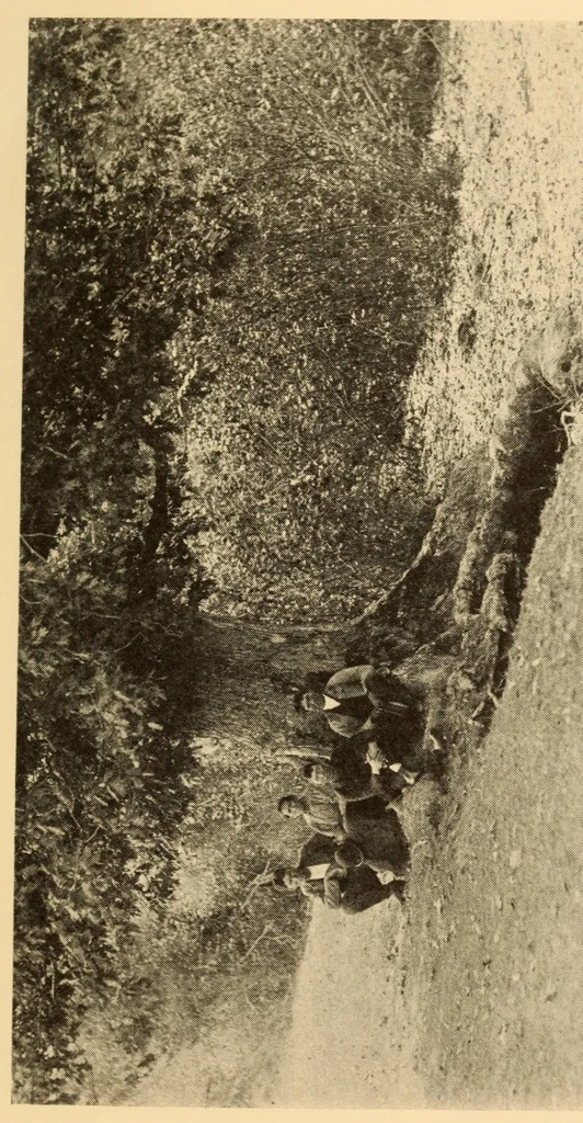 An illustration from Chapters on the ethnology of the Powhatan tribes of Virginia, 1928, leaf 91