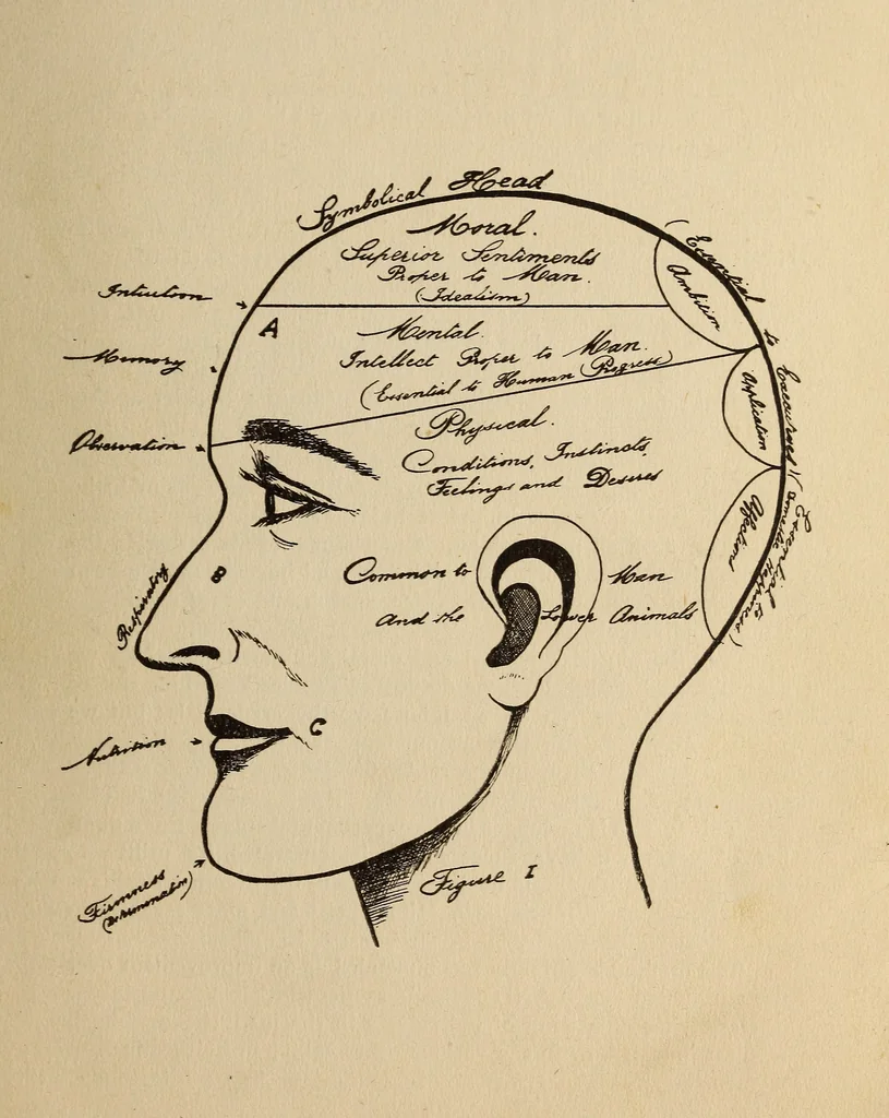 An illustration from Character analysis, text booklet and self instructor, 1916, leaf 2