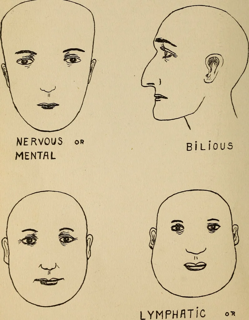 An illustration from Character analysis, text booklet and self instructor, 1916, leaf 29