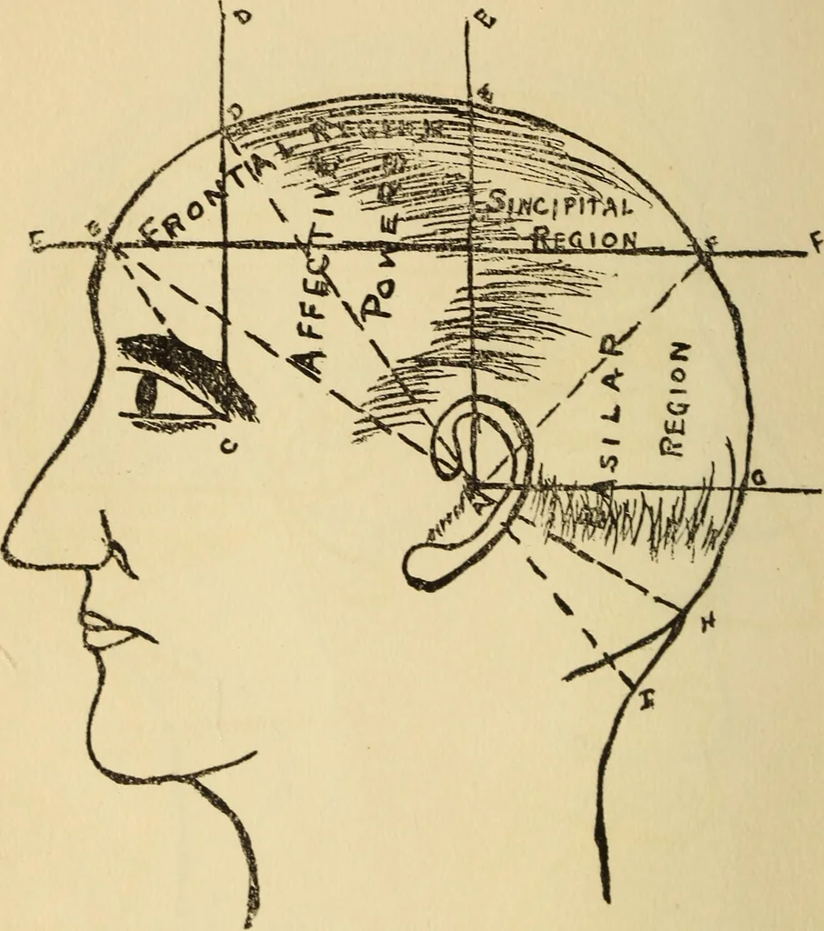 An illustration from Character analysis in condensed form, 1919, leaf 29