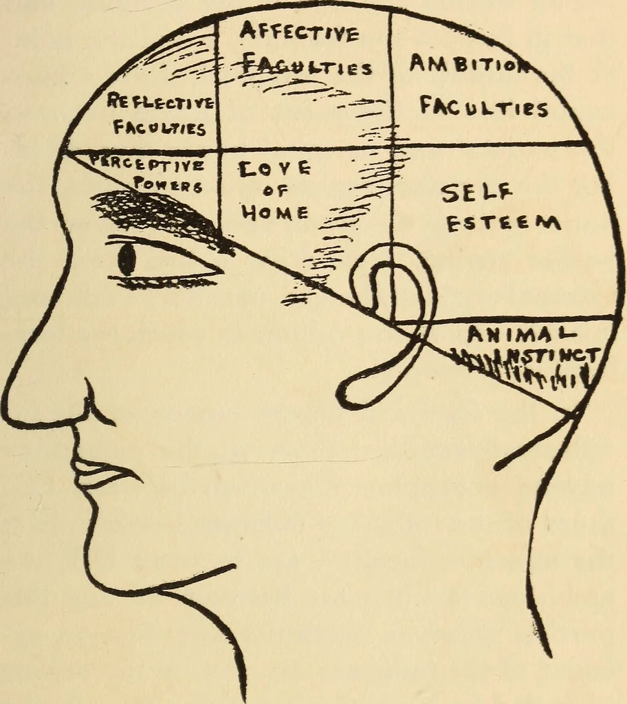 An illustration from Character analysis in condensed form, 1919, leaf 30