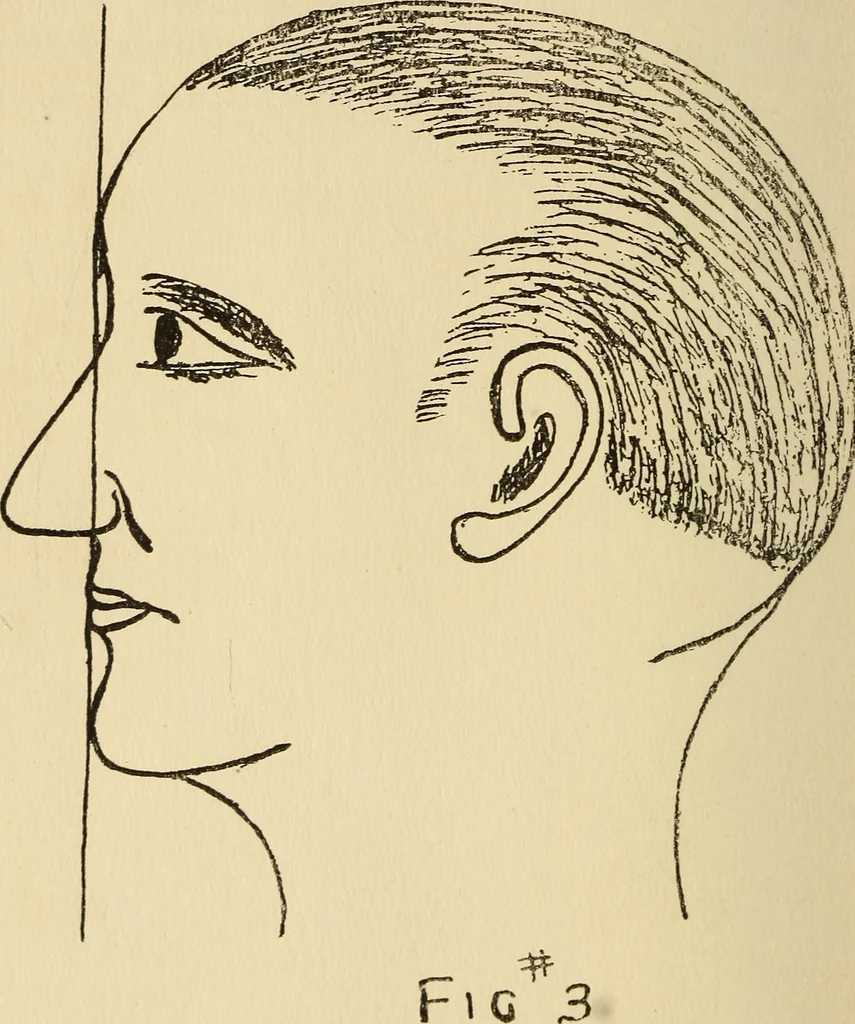 An illustration from Character analysis in condensed form, 1919, leaf 39