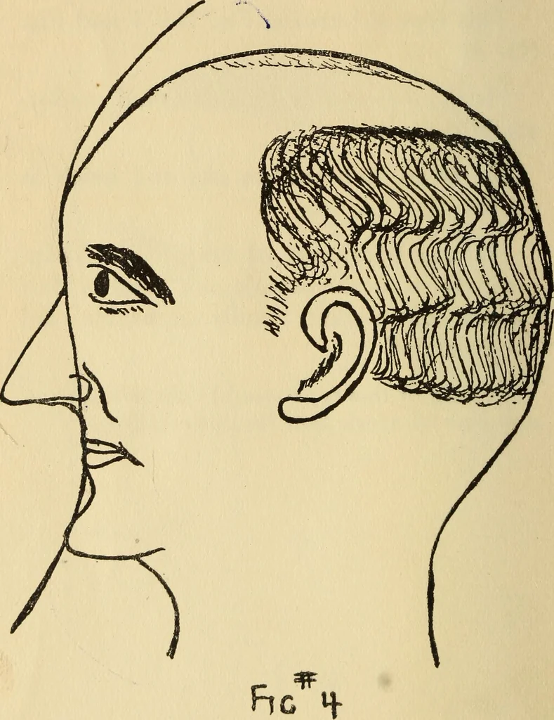 An illustration from Character analysis in condensed form, 1919, leaf 41
