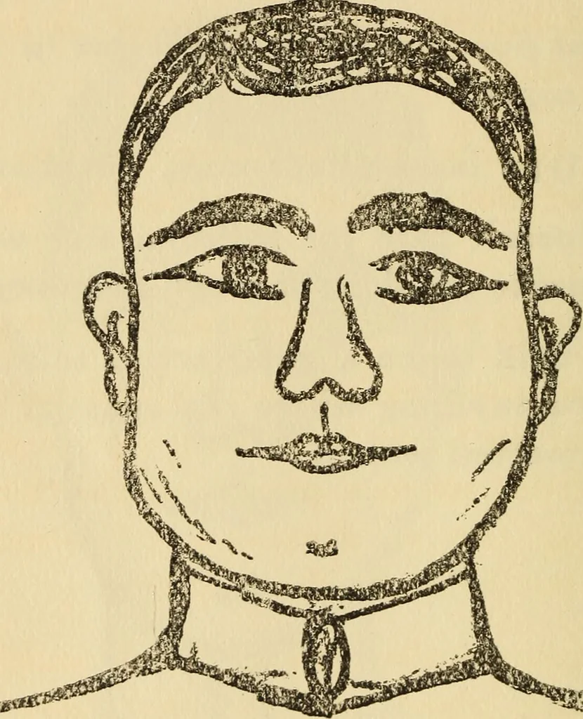 An illustration from Character analysis in condensed form, 1919, leaf 53