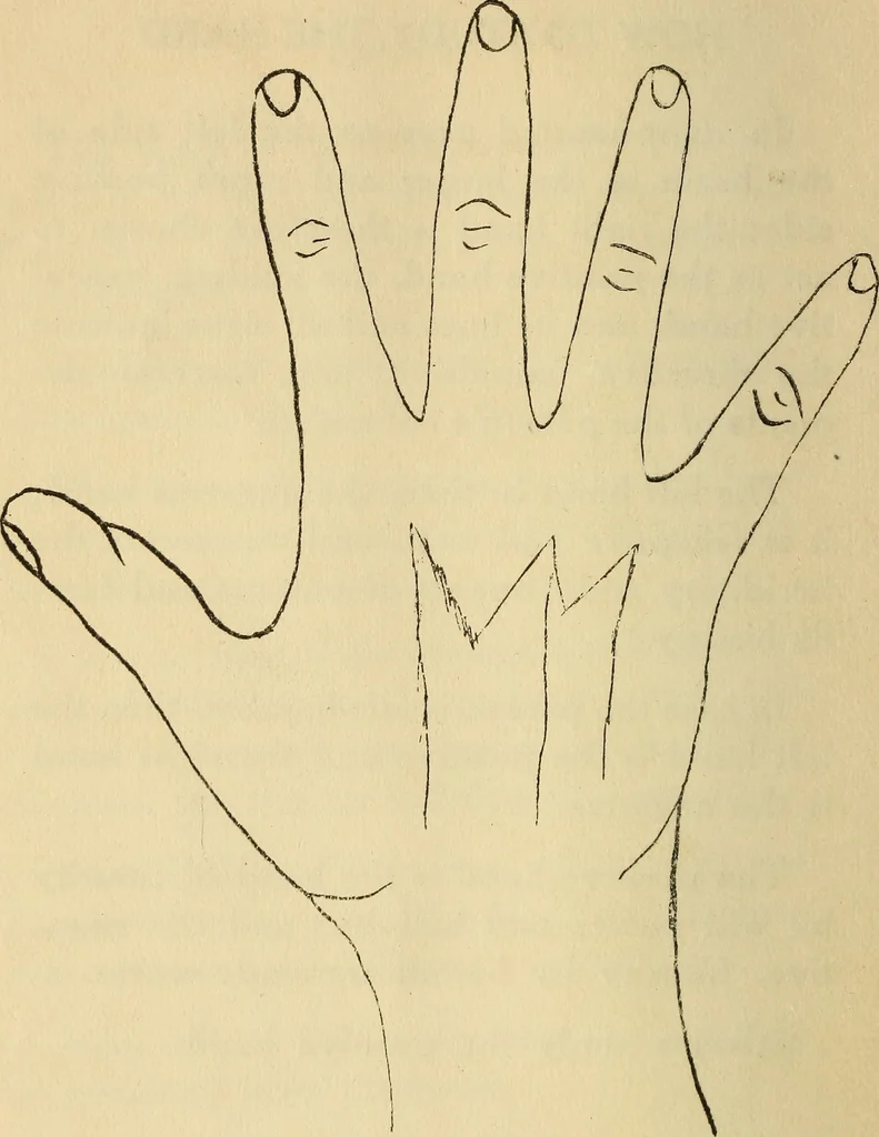 An illustration from Character analysis in condensed form, 1919, leaf 67