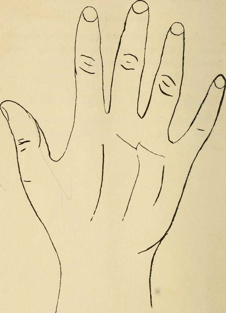 An illustration from Character analysis in condensed form, 1919, leaf 69