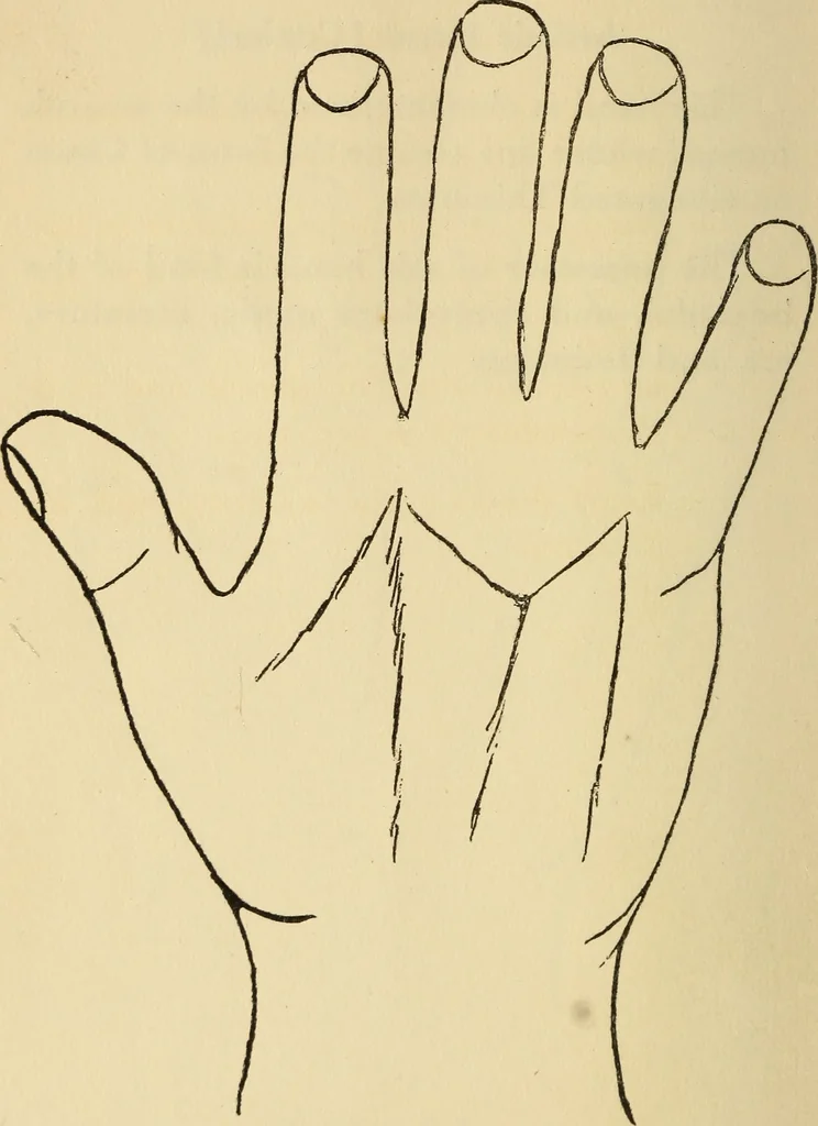 An illustration from Character analysis in condensed form, 1919, leaf 71