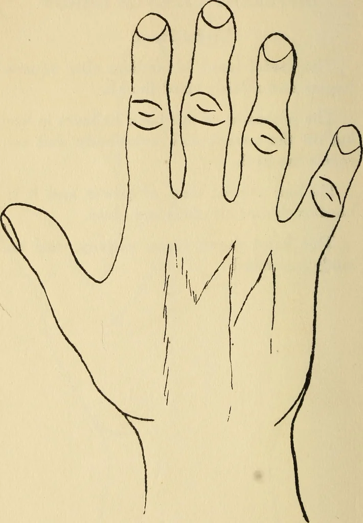 An illustration from Character analysis in condensed form, 1919, leaf 73