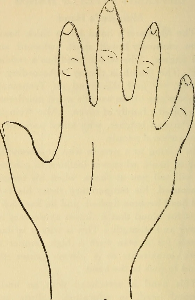 An illustration from Character analysis in condensed form, 1919, leaf 79