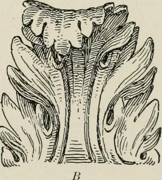 An illustration from Character of renaissance architecture, 1905, leaf 218
