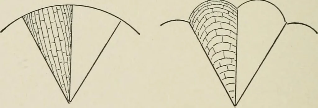 An illustration from Character of renaissance architecture, 1905, leaf 85