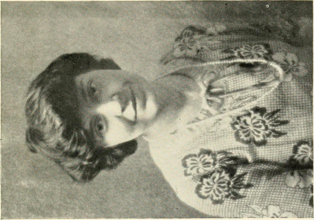 An illustration from Character revelations of mind and body; a statement of methods for the study of the indications of character which are built into the face as a result of mental and bodily reactions, 1922, leaf 234