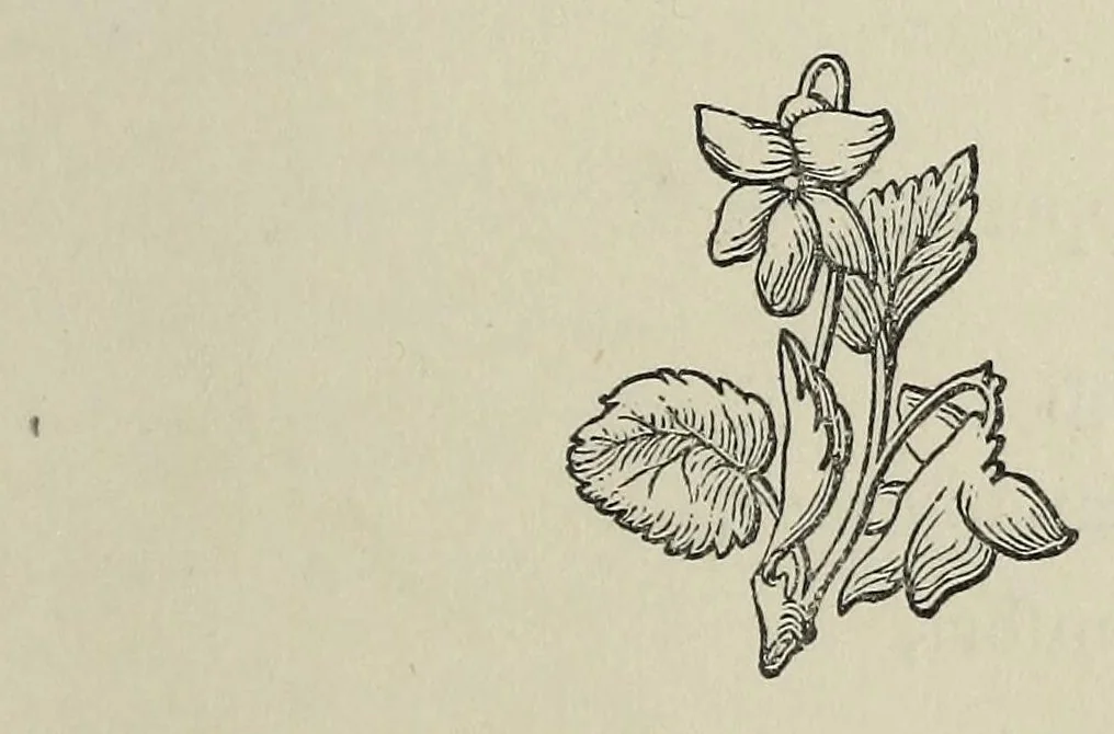 An illustration from Charades, enigmas, and riddles, 1862, leaf 163