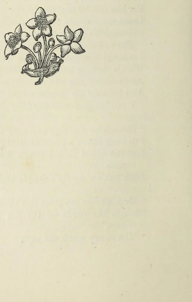An illustration from Charades, enigmas, and riddles, 1862, leaf 76