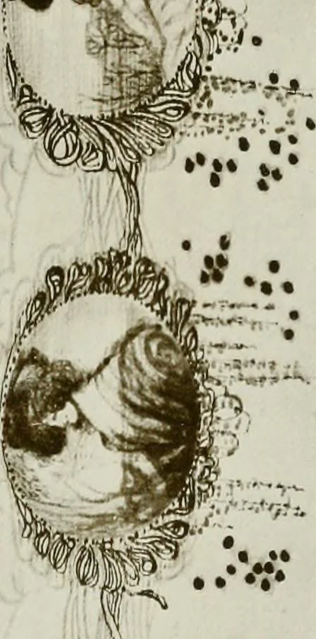 An illustration from Charles Conder; his life and work, 1914, leaf 218