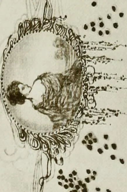 An illustration from Charles Conder; his life and work, 1914, leaf 218