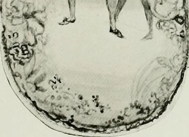 An illustration from Charles Conder; his life and work, 1914, leaf 348