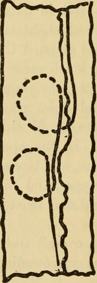 An illustration from Charles Eliot, landscape architect, a lover of nature and of his kind, who trained himself for a new profession, practised it happily and through it wrought much good, 1902, leaf 163