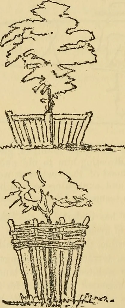 An illustration from Charles Eliot, landscape architect, a lover of nature and of his kind, who trained himself for a new profession, practised it happily and through it wrought much good, 1902, leaf 169