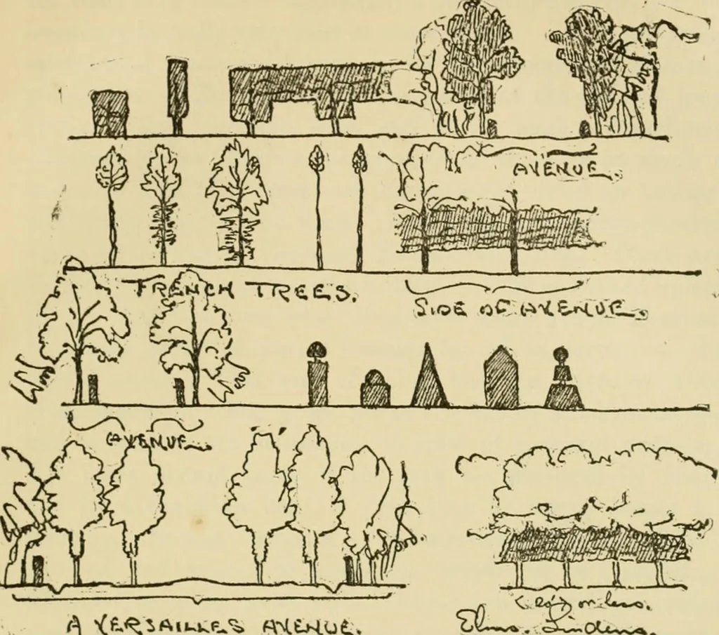 An illustration from Charles Eliot, landscape architect, a lover of nature and of his kind, who trained himself for a new profession, practised it happily and through it wrought much good, 1902, leaf 172