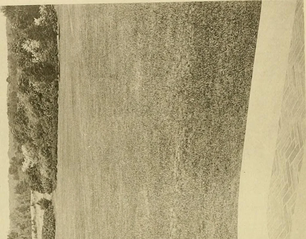 An illustration from Charles Eliot, landscape architect, a lover of nature and of his kind, who trained himself for a new profession, practised it happily and through it wrought much good, 1902, leaf 263