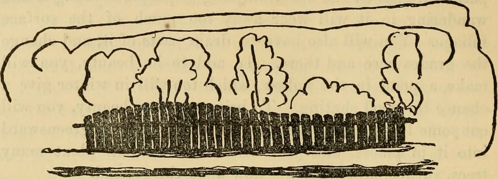 An illustration from Charles Eliot, landscape architect, a lover of nature and of his kind, who trained himself for a new profession, practised it happily and through it wrought much good, 1902, leaf 293