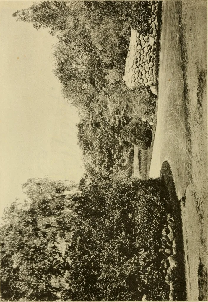 An illustration from Charles Eliot, landscape architect, a lover of nature and of his kind, who trained himself for a new profession, practised it happily and through it wrought much good, 1902, leaf 357