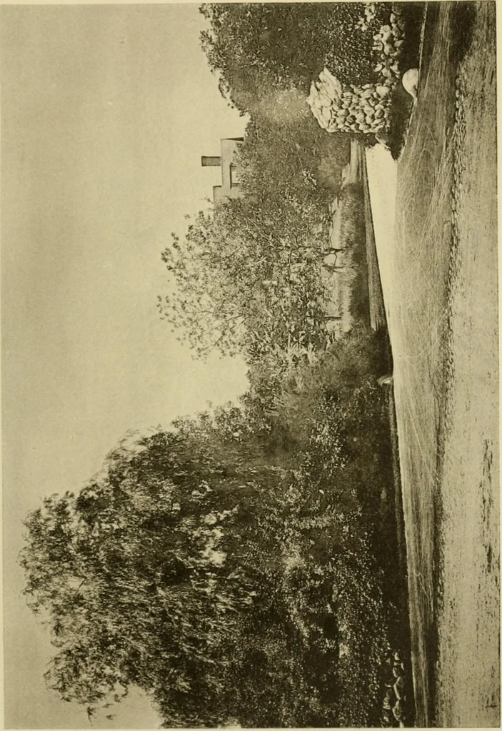 An illustration from Charles Eliot, landscape architect, a lover of nature and of his kind, who trained himself for a new profession, practised it happily and through it wrought much good, 1902, leaf 358