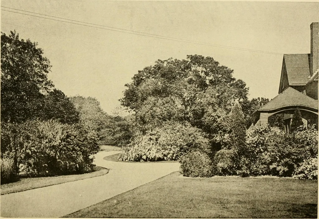 An illustration from Charles Eliot, landscape architect, a lover of nature and of his kind, who trained himself for a new profession, practised it happily and through it wrought much good, 1902, leaf 359