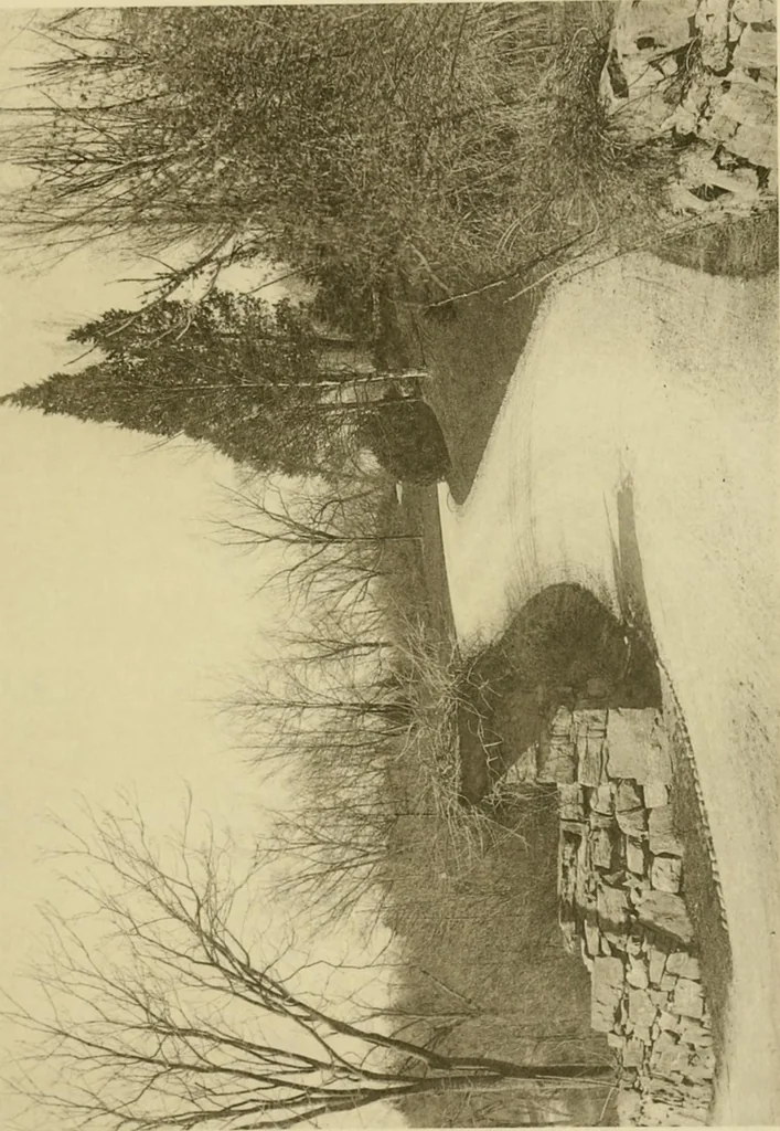 An illustration from Charles Eliot, landscape architect, a lover of nature and of his kind, who trained himself for a new profession, practised it happily and through it wrought much good, 1902, leaf 368