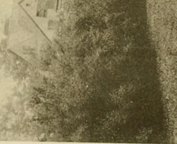 An illustration from Charles Eliot, landscape architect, a lover of nature and of his kind, who trained himself for a new profession, practised it happily and through it wrought much good, 1902, leaf 370