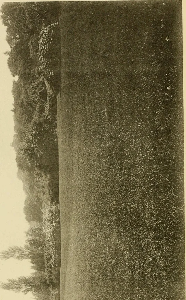 An illustration from Charles Eliot, landscape architect, a lover of nature and of his kind, who trained himself for a new profession, practised it happily and through it wrought much good, 1902, leaf 371