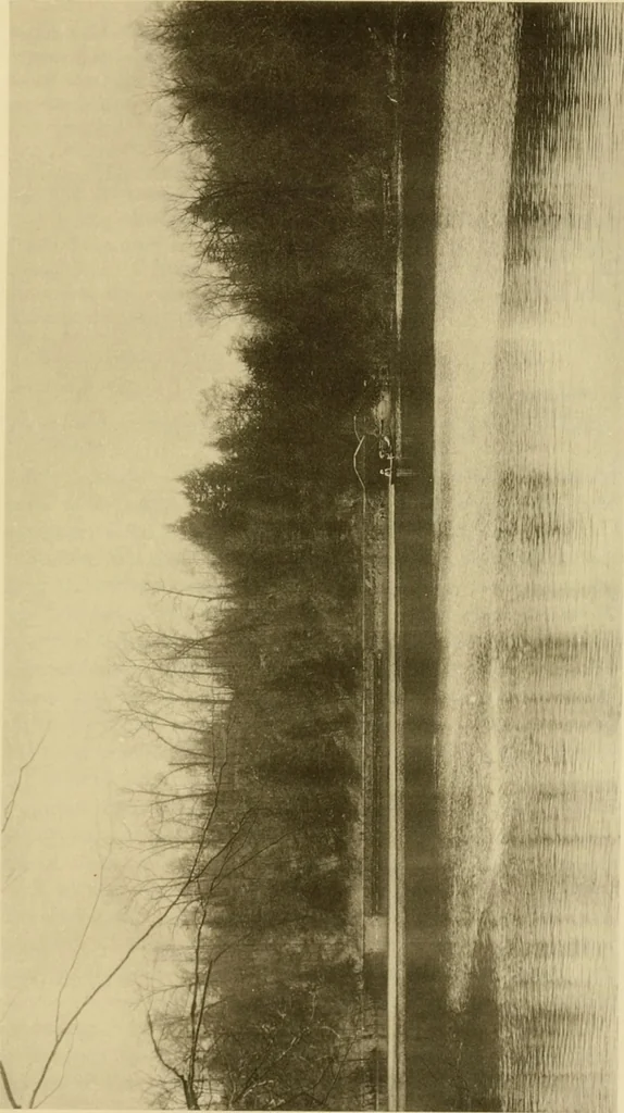 An illustration from Charles Eliot, landscape architect, a lover of nature and of his kind, who trained himself for a new profession, practised it happily and through it wrought much good, 1902, leaf 390