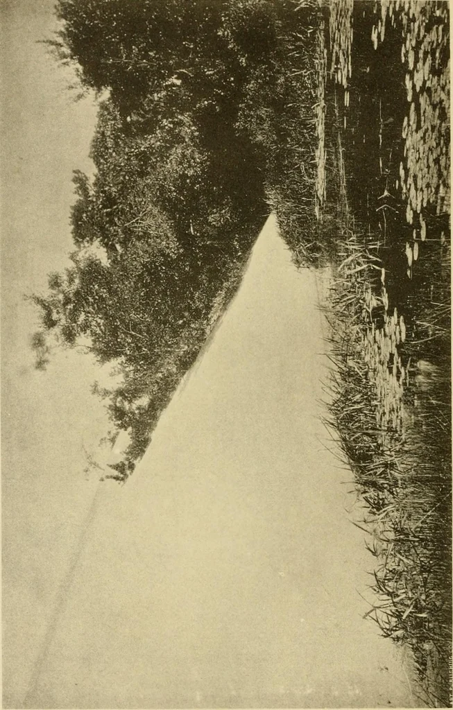 An illustration from Charles Eliot, landscape architect, a lover of nature and of his kind, who trained himself for a new profession, practised it happily and through it wrought much good, 1902, leaf 443