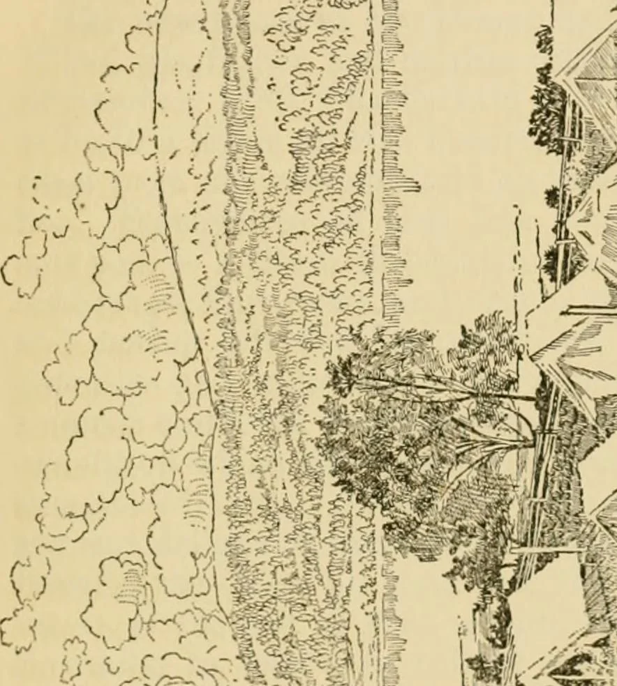 An illustration from Charles Eliot, landscape architect, a lover of nature and of his kind, who trained himself for a new profession, practised it happily and through it wrought much good, 1902, leaf 62