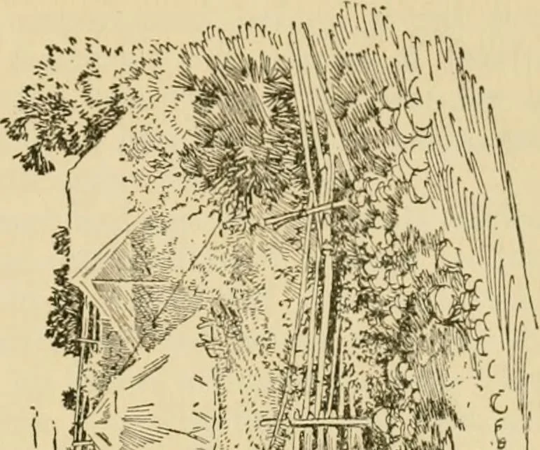 An illustration from Charles Eliot, landscape architect, a lover of nature and of his kind, who trained himself for a new profession, practised it happily and through it wrought much good, 1902, leaf 62