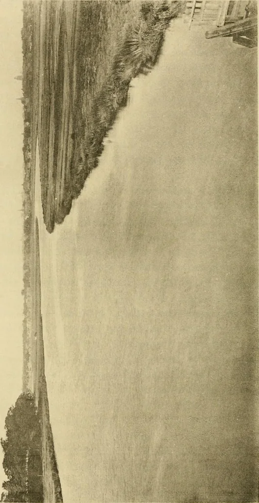 An illustration from Charles Eliot, landscape architect, a lover of nature and of his kind, who trained himself for a new profession, practised it happily and through it wrought much good, 1902, leaf 643