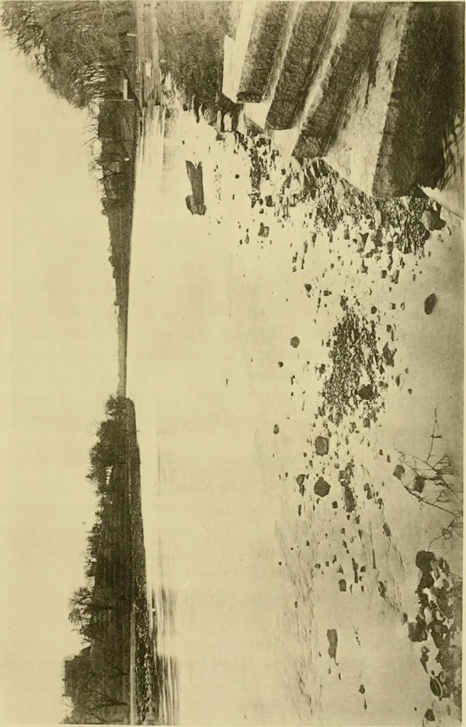 An illustration from Charles Eliot, landscape architect, a lover of nature and of his kind, who trained himself for a new profession, practised it happily and through it wrought much good, 1902, leaf 646