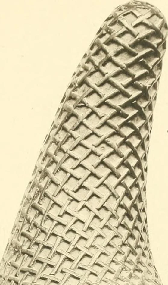 An illustration from Charles Hercules Read; a tribute on his retirement from the British museum and a record of the chief additions to the Department of British and mediaeval antiquities and ethnography during his keepership, 1896-1921, 1921, leaf 216