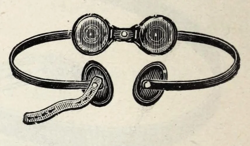 An illustration from The Chas. Baumbach Co., importers and wholesale dealers in drugs and chemicals, patent medicines, paints and oils, varnishes, window glass, druggists' and painters' sundries, etc., etc., Milwaukee, Wis, 1890, leaf 558