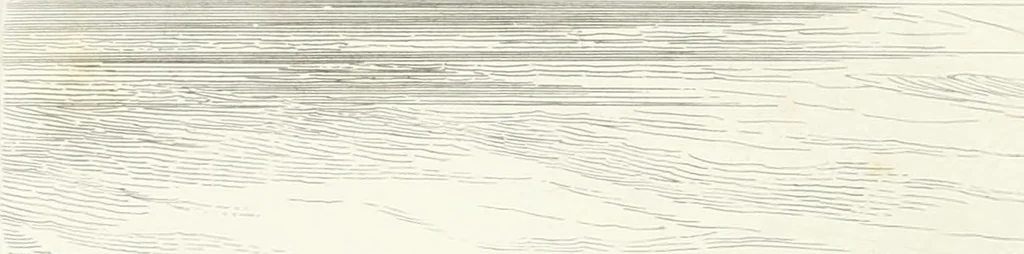 An illustration from Château de Saint-Cloud : domaine de la couronne, 1839, leaf 45